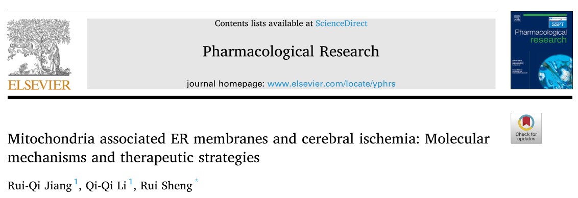 苏州大学药学院盛瑞团队综述了线粒体相关内质网膜与脑缺血的分子机制及治疗策略