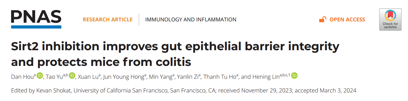 PNAS：抑制SIRT2改善肠道上皮屏障完整性并抑制小鼠小结肠炎