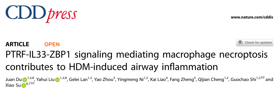 Cell Death and Disease: PTRF-IL33-ZBP1信号通路可能是抑制呼吸道炎症的一个有前途的靶点