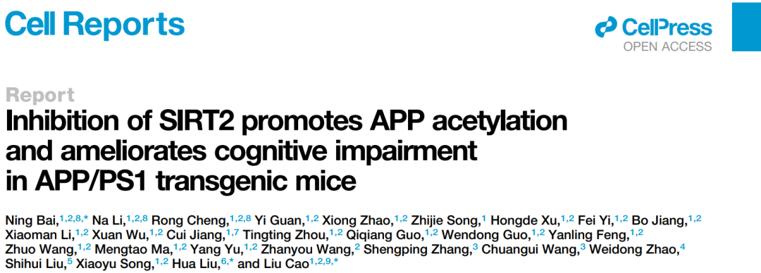 ​Cell Rep+Aging Cell | 曹流团队揭示SIRT1与SIRT2协同调控阿尔茨海默症的表观遗传新机制
