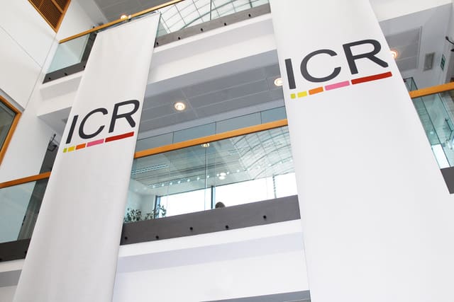 ICR researchers identify new treatment pathway for rare set of childhood brain tumours 