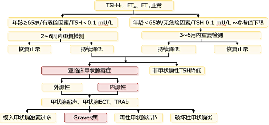 聚焦2022甲亢新指南，助推甲亢规范化诊疗