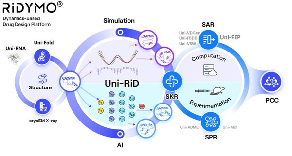 DP Technology Announces Nomination of Development Candidate, a Potential Best-in-Class Kv1.3 Inhibitor for Immunological Diseases Including IBD and AD