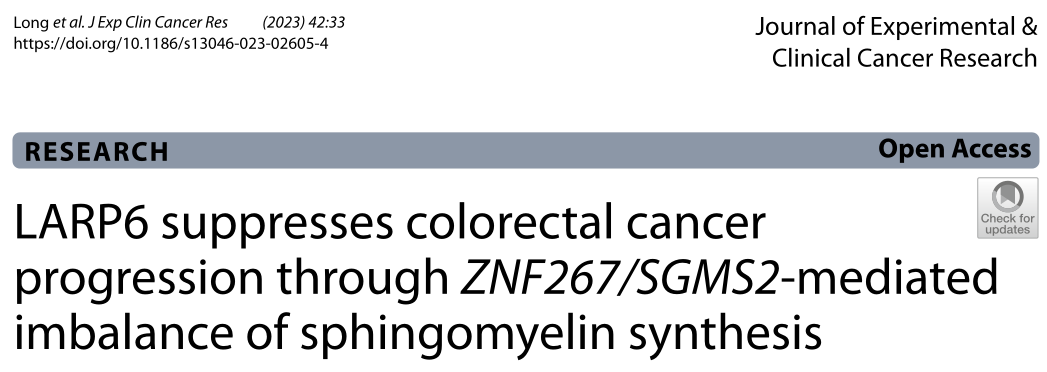 J Exp Clin Cancer Res: 科学家最新揭示了结直肠癌发生的关键信号开关