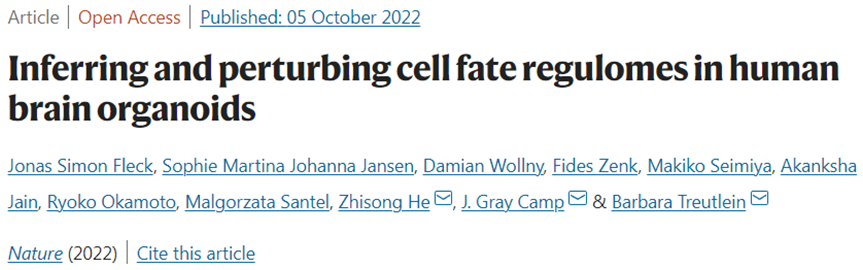 Nature：利用人类大脑类器官绘制人类大脑发育图谱