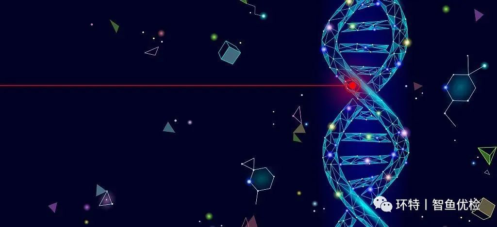 斑马鱼基因编辑技术，助力NSCL/P病因学研究及新的候选基因发现