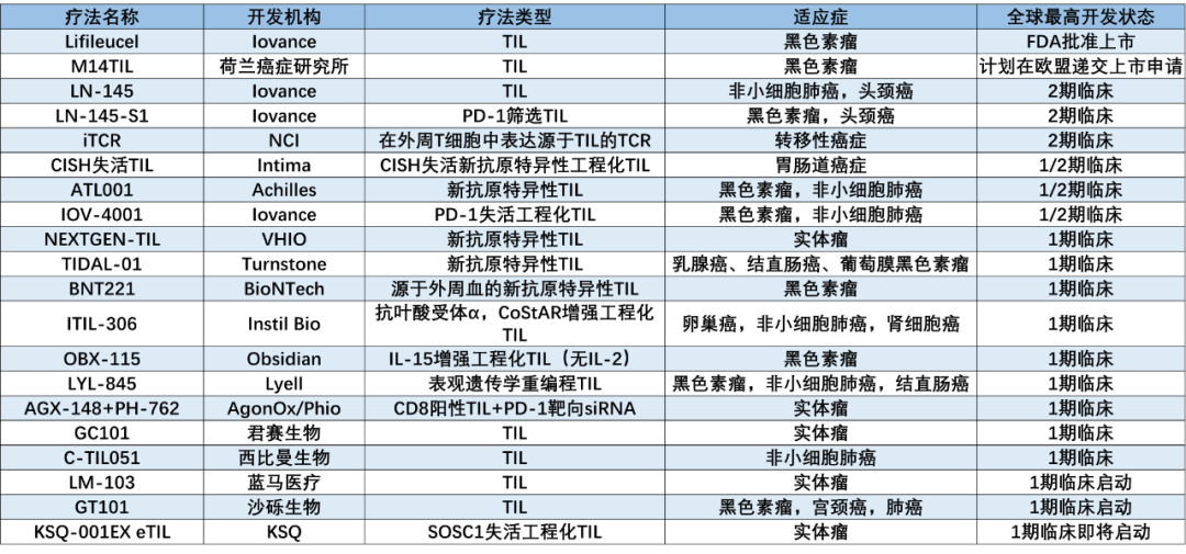 全球首款肿瘤浸润淋巴细胞疗法获FDA批准上市