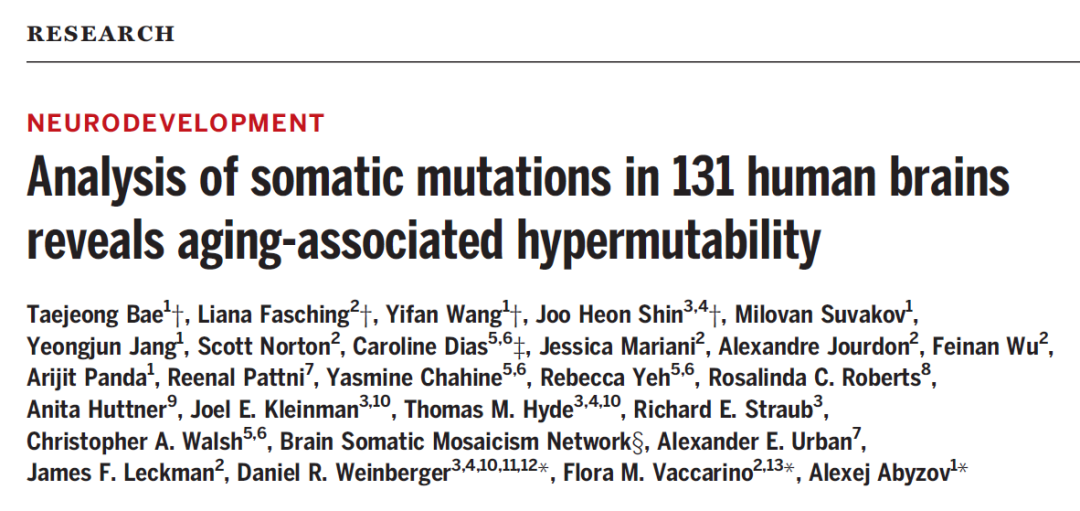 Science：衰老的一个副作用，导致大脑体细胞超突变