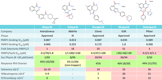 阿斯利康的PARP抑制剂如何差异化？