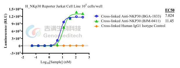 NKp30——癌症免疫治疗的前瞻性靶点