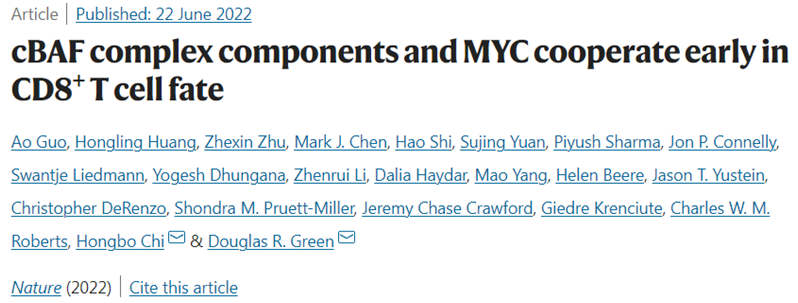 Nature：发现cBAF与c-Myc相互作用让T细胞变成记忆T细胞，有望利用CAR-T细胞治疗实体瘤