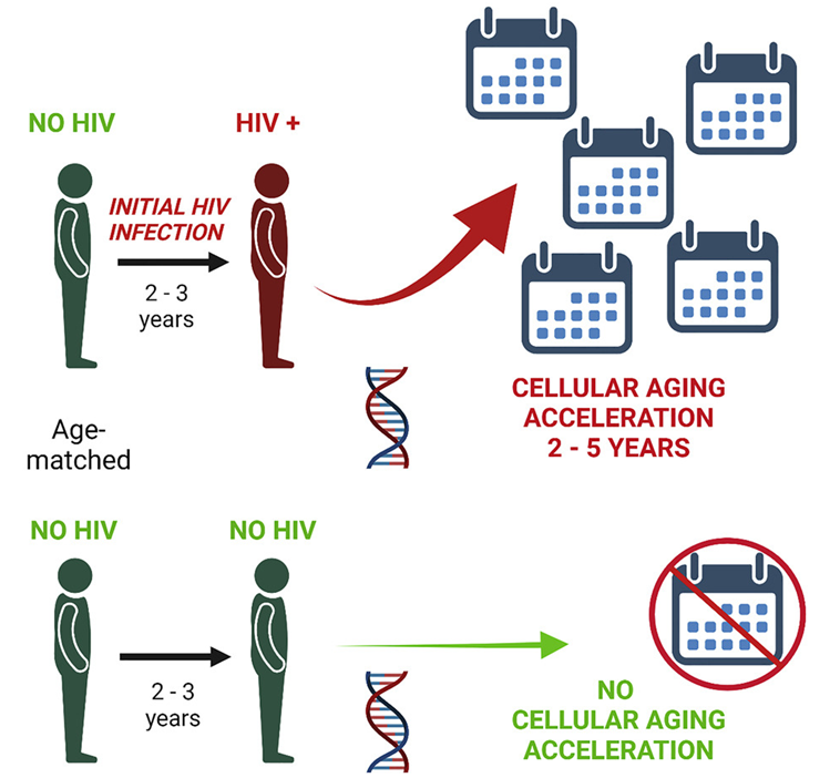 2022年HIV研究进展第4期