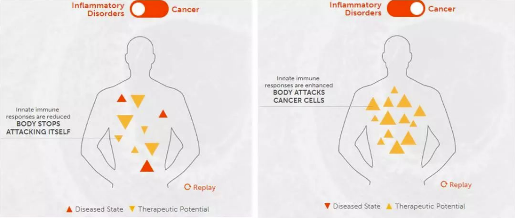 8.35亿美元：诺华引进IFM Therapeutics的STING拮抗剂