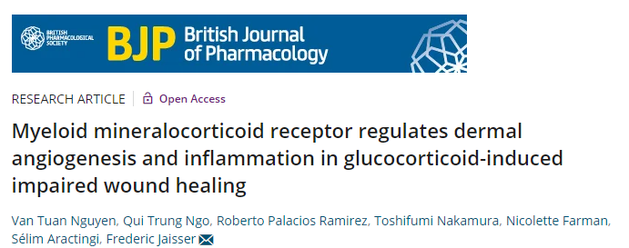 英国药理学: 局部应用盐皮质激素受体拮抗剂与创面愈合