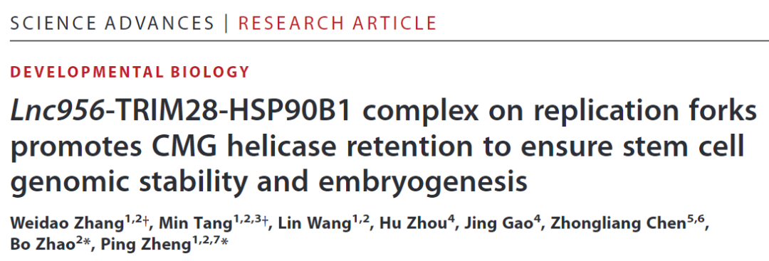 Science子刊：郑萍团队阐明新型LncRNA维持多能干细胞基因组稳态新机制