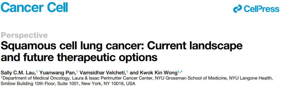 《癌细胞》：棘手的肺鳞癌，到底该怎么治？看纽约大学的专家们盘点破局之道！