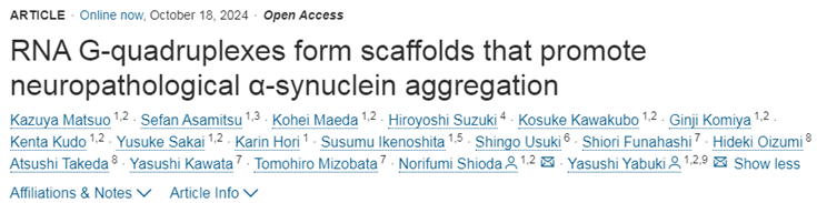 Cell：首次揭示G-四联体螺旋促进α突触核蛋白聚集机制