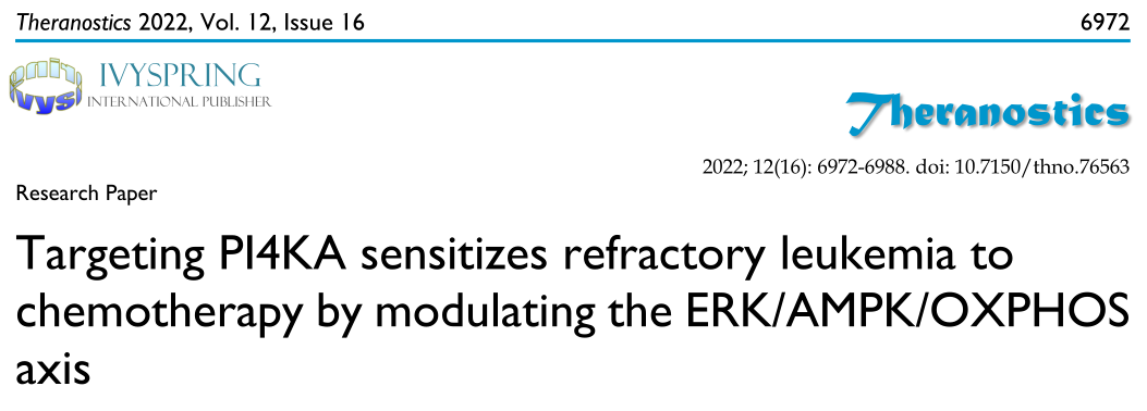 Theranostics: 靶向PI4KA通过调节ERK/AMPK/OXPHOS轴增加难治性白血病化疗敏感性