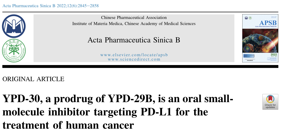 药学学报！YPD-30是一种针对PD-L1的口服小分子抑制剂，用于治疗人类癌症
