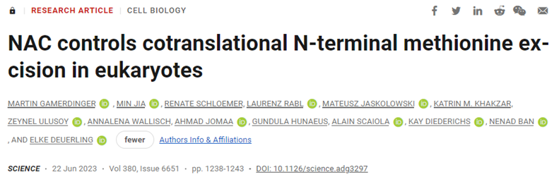 Science：揭示蛋白复合物NAC在真核生物蛋白合成工厂中起着分子控制中心的作用