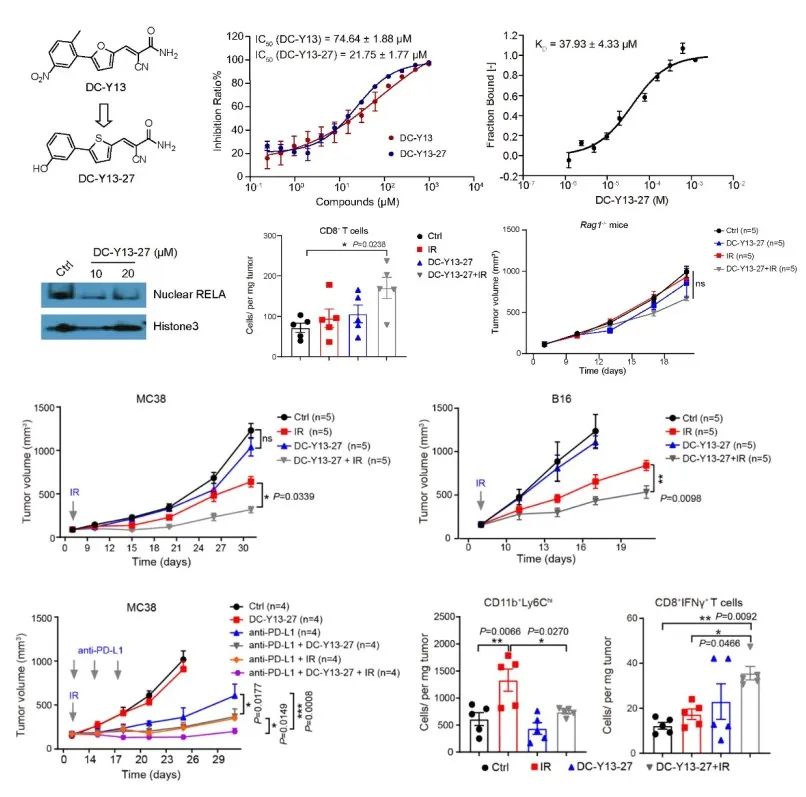 Cancer Cell：何川/罗成等发现抑制YTHDF2可增强放疗的抗肿瘤疗效