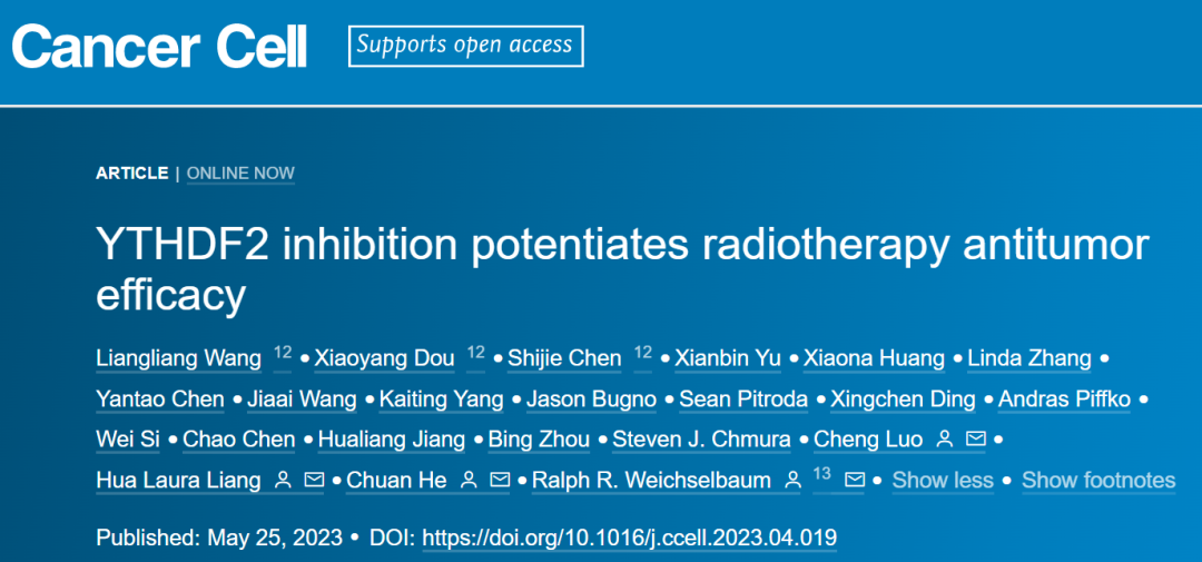 Cancer Cell：何川/罗成等发现抑制YTHDF2可增强放疗的抗肿瘤疗效