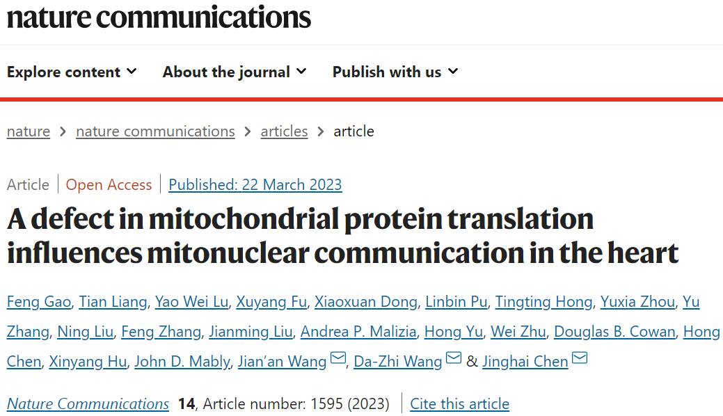 Nature子刊 | 浙江大学陈静海/王建安等合作发现线粒体蛋白翻译缺陷影响心脏中的线粒体通讯