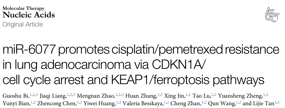 复旦大学: 小核酸药物在肺腺癌耐药中的新发现