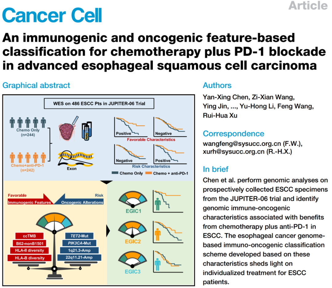 《癌细胞》：中山大学肿瘤防治中心徐瑞华教授团队，提出指导晚期食管鳞癌精准免疫治疗的全新分型！