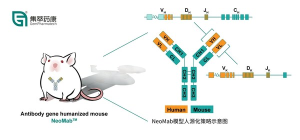 药康生物推出全人源抗体转基因模型NeoMab（TM）及服务平台