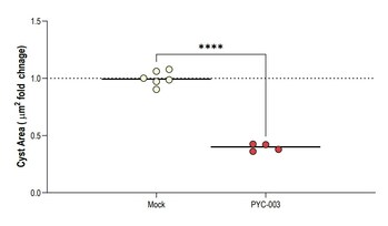 PYC'S FOURTH DRUG CANDIDATE HAS DISEASE-MODIFYING POTENTIAL IN POLYCYSTIC KIDNEY DISEASE