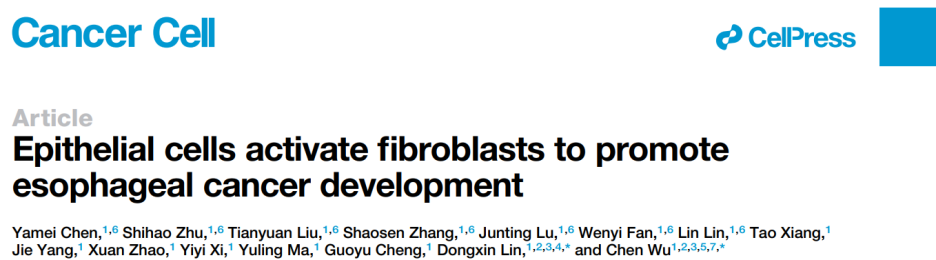Cancer Cell | 林东昕/吴晨团队揭示推动食管癌前病变到食管癌演进的全新上皮细胞和成纤维细胞互作机制