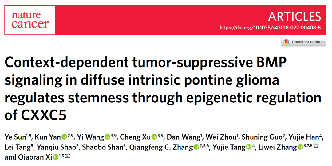 Nature子刊：郗乔然/张力伟合作揭示BMP信号通路在脑胶质瘤中的抑癌作用