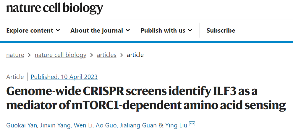 Nature子刊：刘颖团队利用CRISPR筛选，鉴定mTORC1感应氨基酸的调控蛋白ILF3