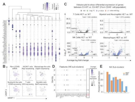 Sci Transl Med：科学家识别出能克服三阴性乳腺癌对疗法耐受性的新型潜在靶点