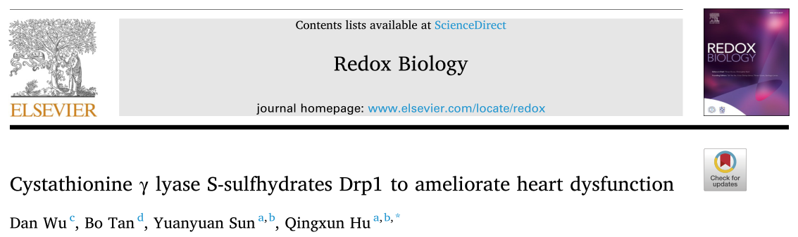 Redox Biology: 胱硫醚γ裂解酶S-硫代谢物DRP1改善心功能不全