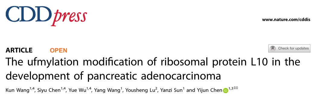 中国药科大学研究者们揭示了核糖体蛋白L10在胰腺癌发生发展中的作用