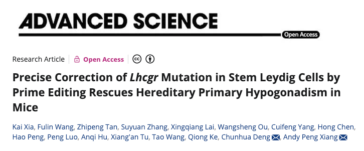 项鹏/邓春华团队开发先导编辑+干细胞疗法，有望治疗男性不育