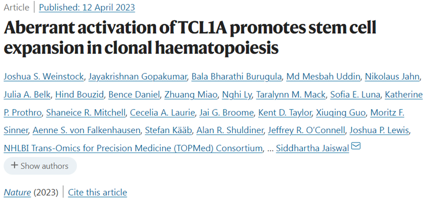 Nature：揭示靶向TCL1A有望阻止血癌产生