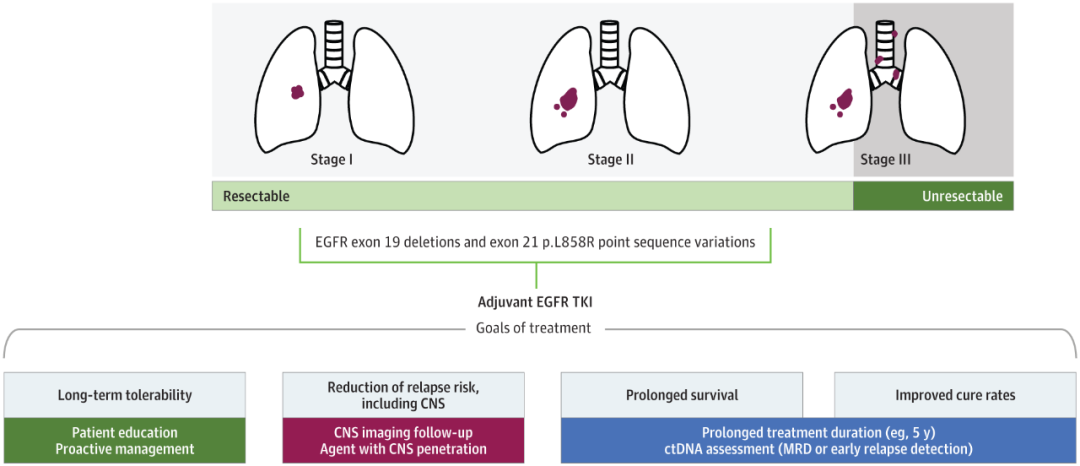 《JAMA·肿瘤学》：吴一龙/莫树锦深度综述！可手术EGFR突变阳性肺癌靶向辅助治疗的现在和未来