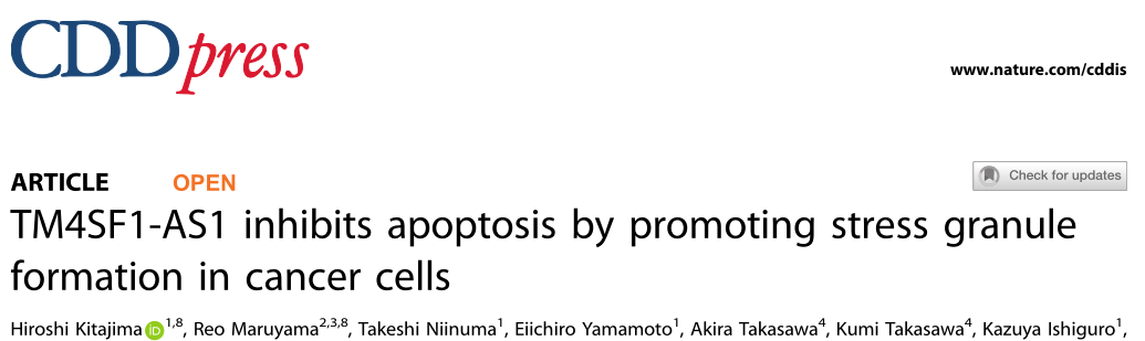 Cell Death and Disease: TM4SF1-AS1通过增强应激适应而参与肿瘤的发生