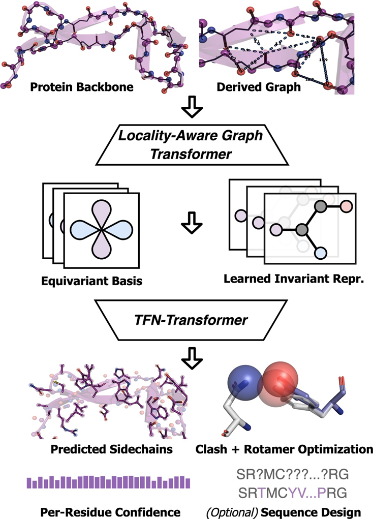 PNAS：全球首创，分子之心开源新AI算法，攻克蛋白质侧链预测与序列设计难题