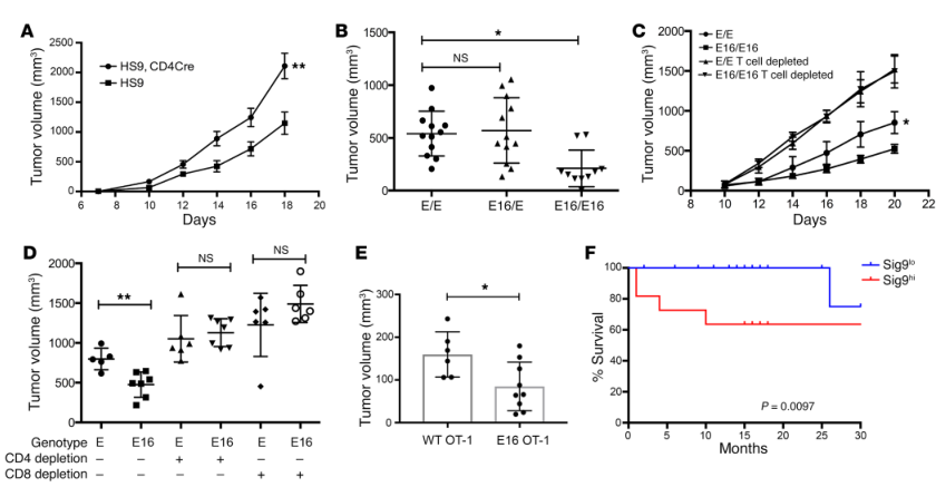 Siglecs ：Oncology 和Immunology领域的多维度玩家