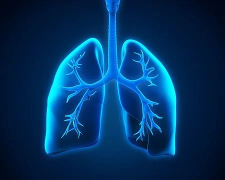 重磅综述：过去一年肺癌治疗领域重要突破有哪些？这四种药物推动检测、诊疗发展！