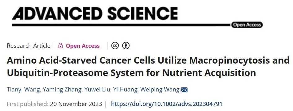 首次！靶向“饥饿”癌细胞！港大最新研究：揭示癌症治疗新策略