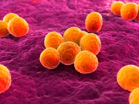 ‘Explainable’ AI discovers new class of antibiotics that stop MRSA in mice