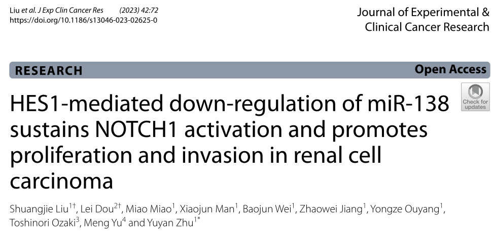 中国医科大学第一医院泌尿外科朱育焱团队揭示了miR-138-2是一个新的致癌NOTCH1途径的表观遗传调节因子