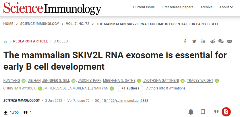 Sci Immunol：RNA外泌体或许对于B细胞的发育至关重要