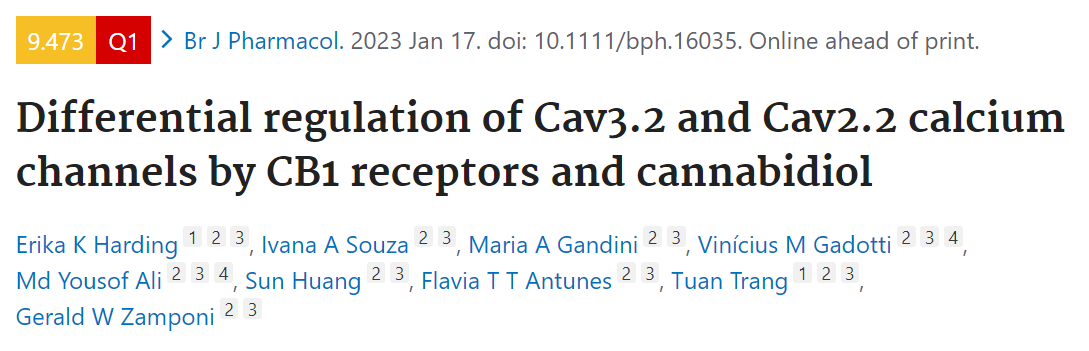 BJP: CB1受体和大麻二酚对Cav3.2和Cav2.2钙通道的差异性调节
