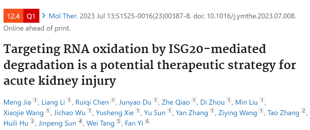 Molecular Therapy: ISG20介导的靶向RNA氧化是治疗急性肾损伤的一种潜在策略